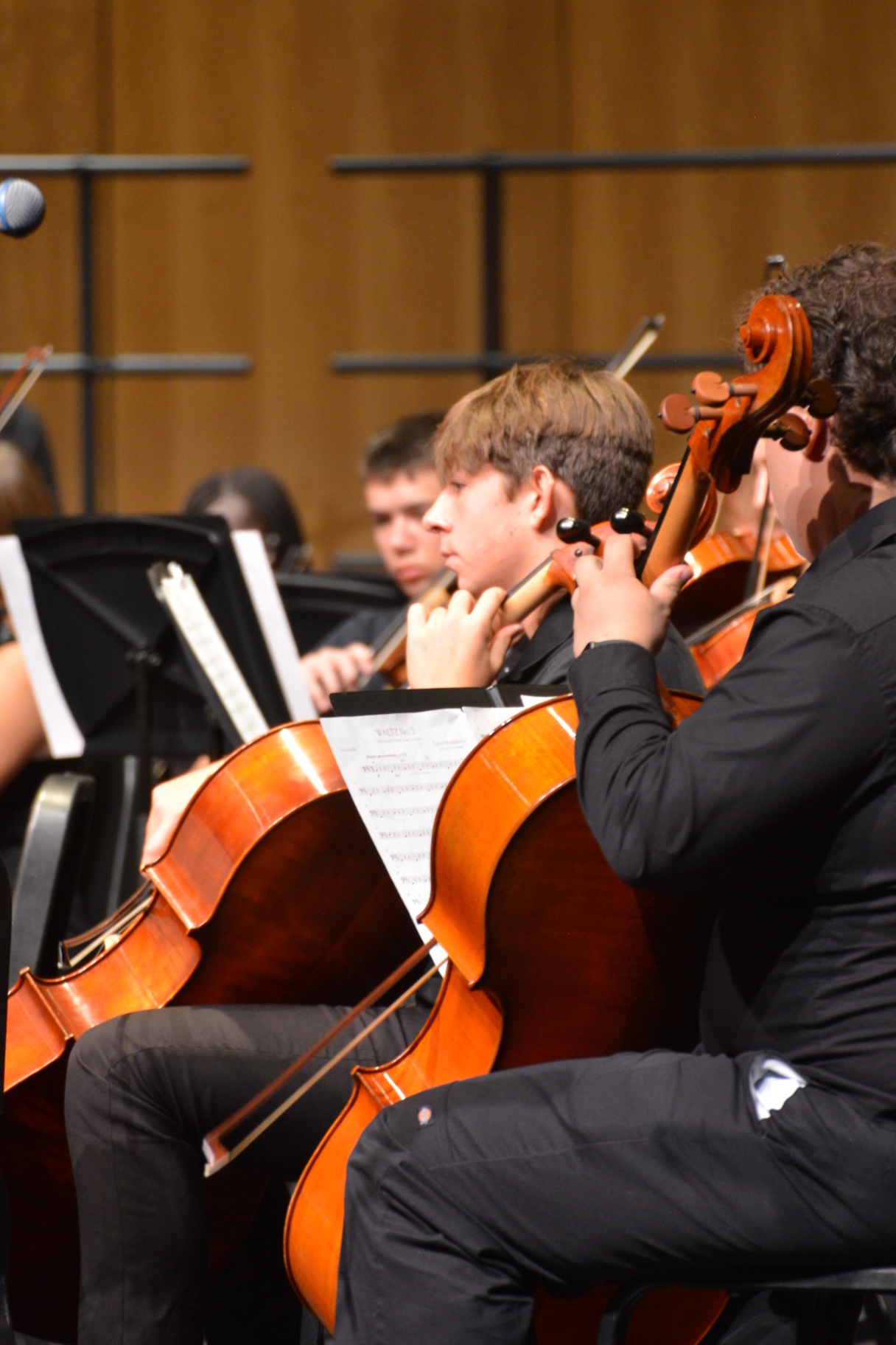 Cellists performing together in the Sartell orchestra