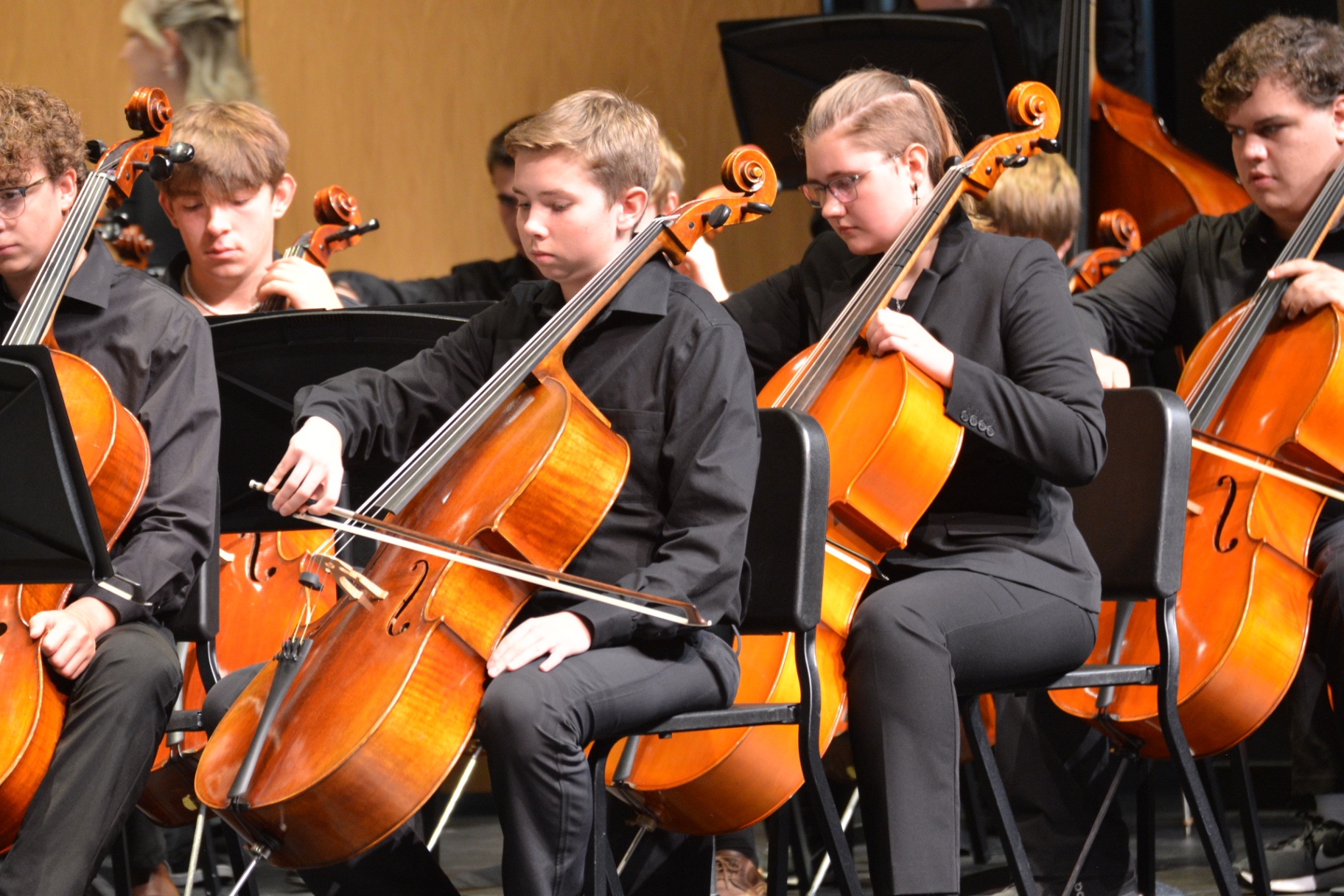 Cello section performing during an orchestra concert